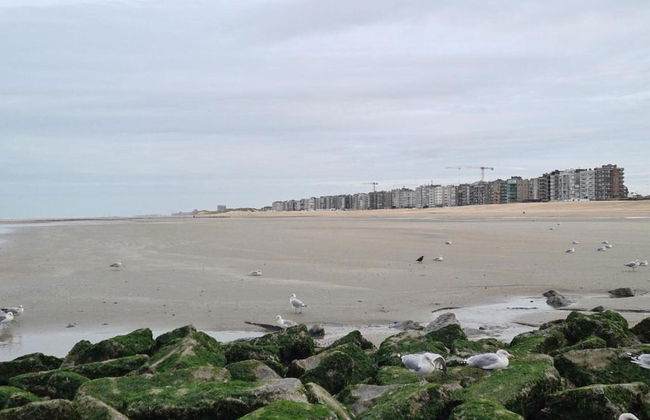 Apartment in Koksijde Near the Sea - Foto 24