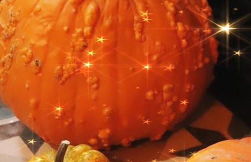 La Taverne des sorciers de Perigueux - Foto 7