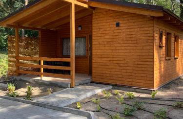 Campus Karolina BRENNO - Foto 41