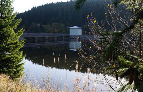 Ferienhaus am Wald - Einzelstandort mit Wallbox - Foto 18