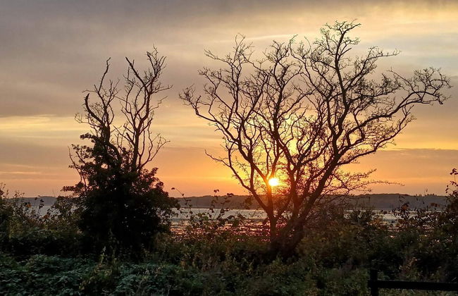 8 Person Holiday Home in Olsted-by Traum - Foto 6