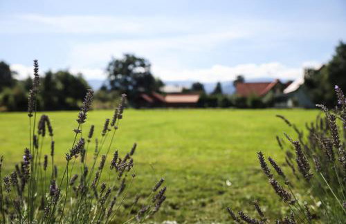 Apartamenty Skarpa - Foto 11