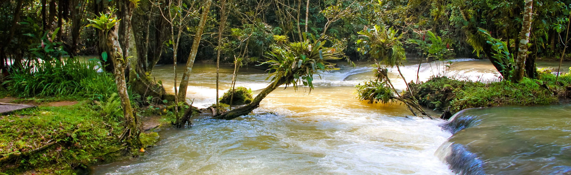 Excursão às cascatas do rio Dunn