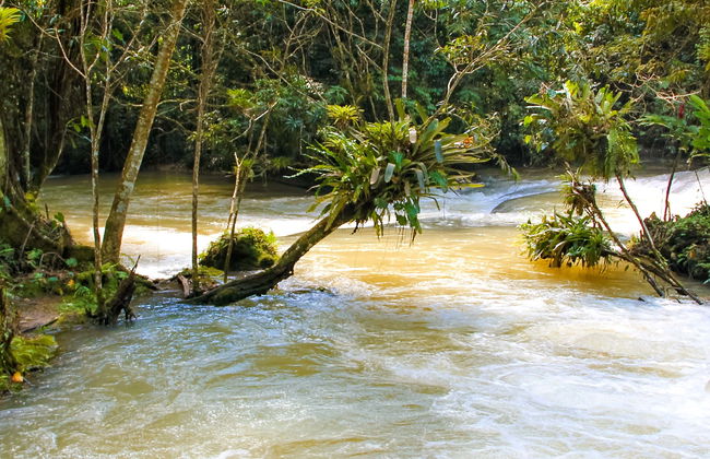 Dunn's River Falls Day Trip - Photo 1