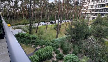Shellter Bael Apartamenty - Foto 4, Garden, Garden view