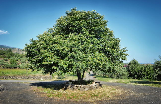 Agriturismo Kikajon - Foto 37