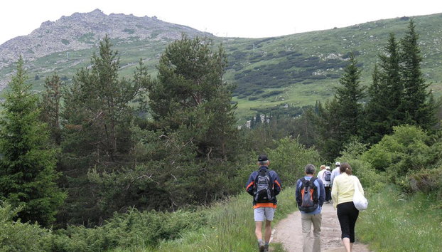 Excursión de día completo - Montañas Vitosha y pico Cherni Vryh (2290 m) - Foto 5