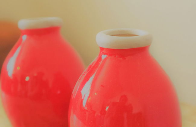 Wonderful Mansion in Giethoorn near Museum with Terrace - Photo 36