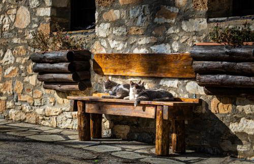 Elation Rooms - Foto 6