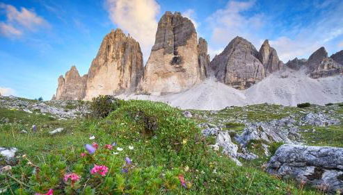 Alpine Deluxe - Foto 3