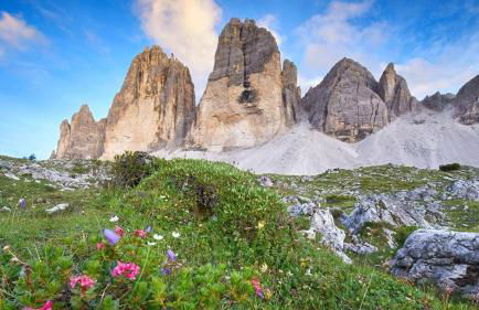 Alpine Deluxe - Foto 3