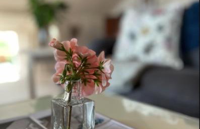 The Pink Cottage upstairs suite & Garden Summer Room - Foto 24