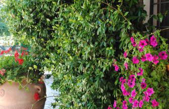 Villa Le Casaline - Foto 37