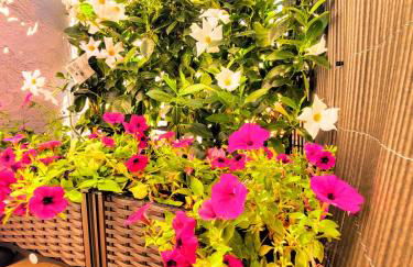 El Rincón Zen - Foto 26