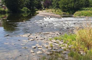 Ferienwohnung Siegaue - Foto 14
