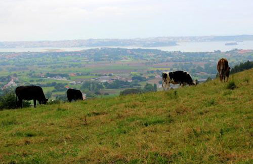 El Pinar de Arna - Photo 55