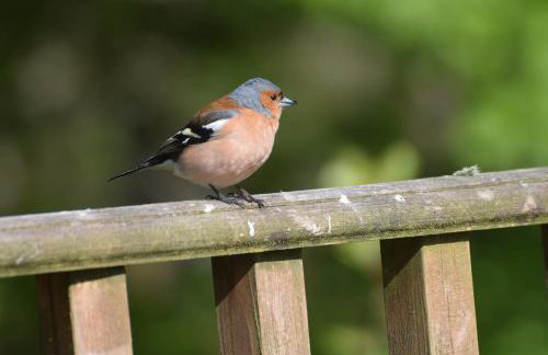 Red Watch Apartment - Foto 25