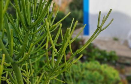 Monte da ti Luzia - Foto 60