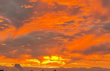 Ferienwohnung Hajü - Foto 2