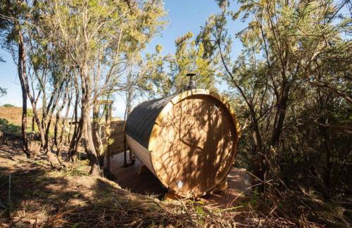 El Pino Centenario 3 - Foto 16