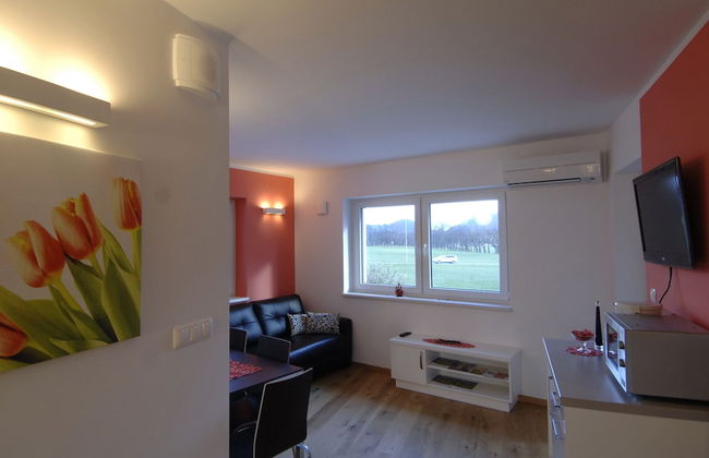 Apartments & Wellness Skok Mozirje - Photo 10