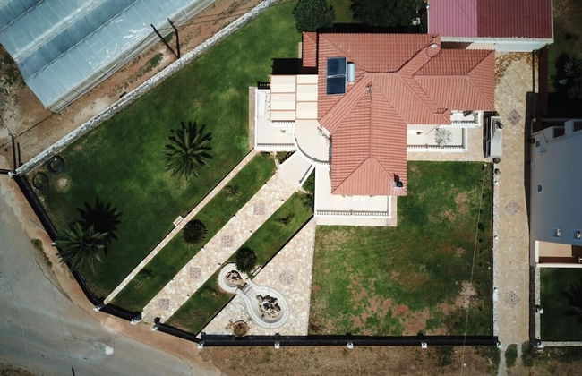 Flisvos Villa - Photo 37