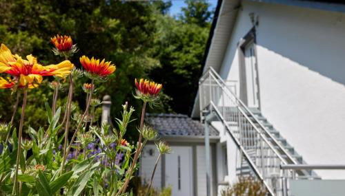 Schwarzer Kater Blankenheim - Photo 3