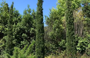 Lago di Garda a 100m - Fasanella Penthouse - Foto 54