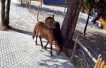 Chalés Luna in rio A-Frame Romântica no Gerês com vista Rio - Foto 35