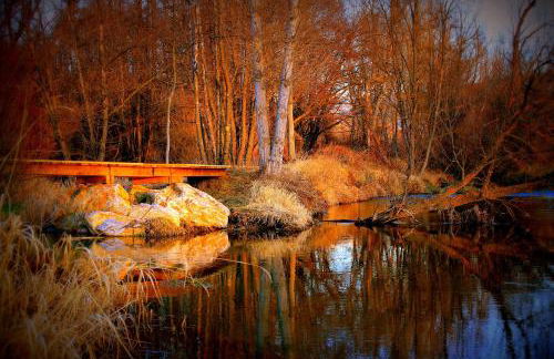 Cal Francès - Foto 55