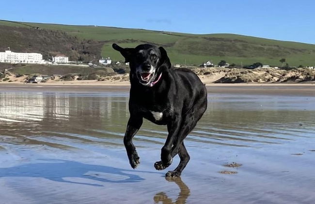 Croyde Thatchers Hideaway 2 Bedrooms - Foto 14