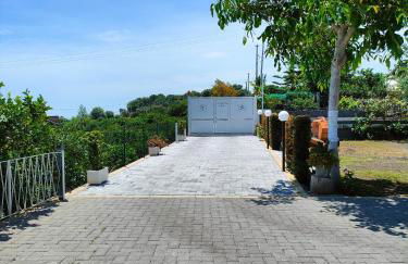 Il Limoneto di Leo - Foto 38