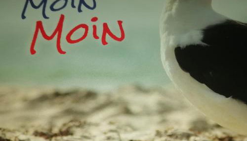 Goden Wind 20 - Foto 2, Other