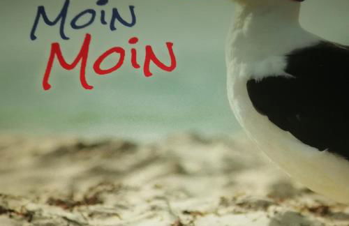 Goden Wind 20 - Foto 2