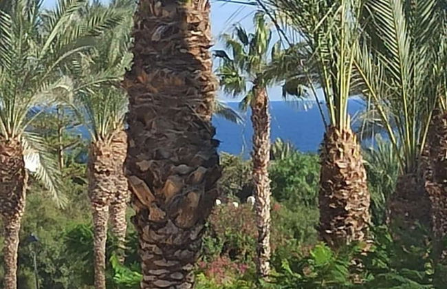 2 Bed Apt - Close To Beach - Pool - Balcony - Foto 11