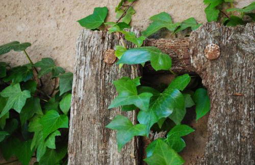 Masia El Canalot - Molí Del Pont - Foto 61