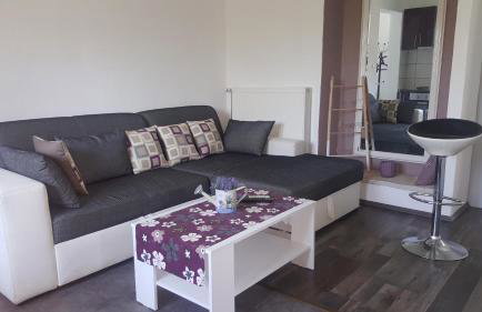 Villa Surać - Foto 13