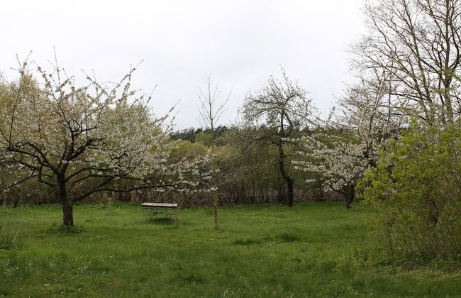 Gorgeous Apartment in Neuburg With Terrace - Foto 52