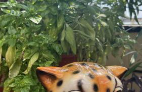 "Pier's House" - Attico a 3 chilometri dal Centro Città - Photo 59