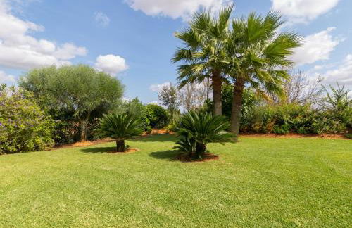 Es rafalot - Photo 22