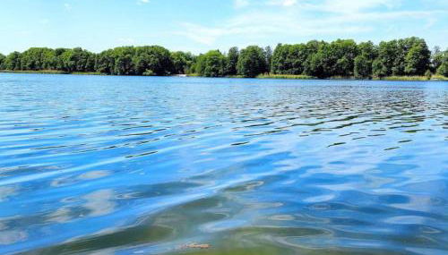 Ferienwohnung im Grünen Senzig - Foto 5