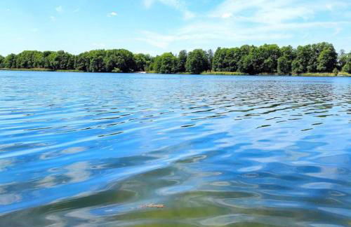 Ferienwohnung im Grünen Senzig - Photo 5