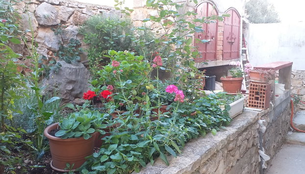 Ivan by the beach - Foto 2, Immagine principale