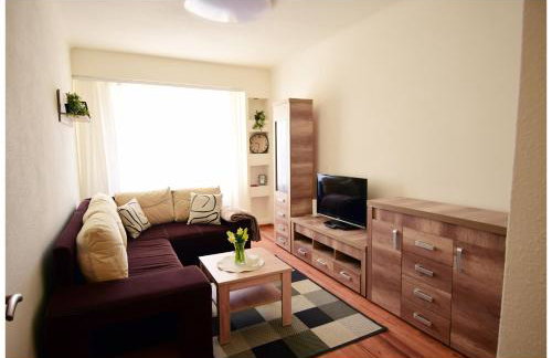 Color 24 Apartament V - Foto 8