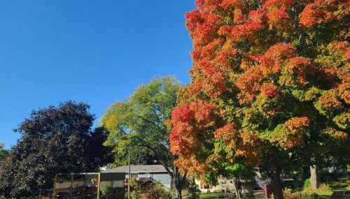 The Stable - Photo 3