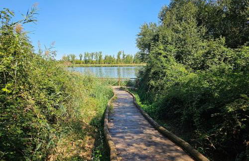 Beautiful Alamedas, un santuario donde el tiempo se detiene - Foto 121