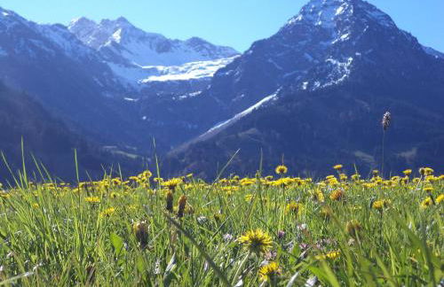 Uschi's Steinröschen mit Hallenbad und Sauna - Foto 18