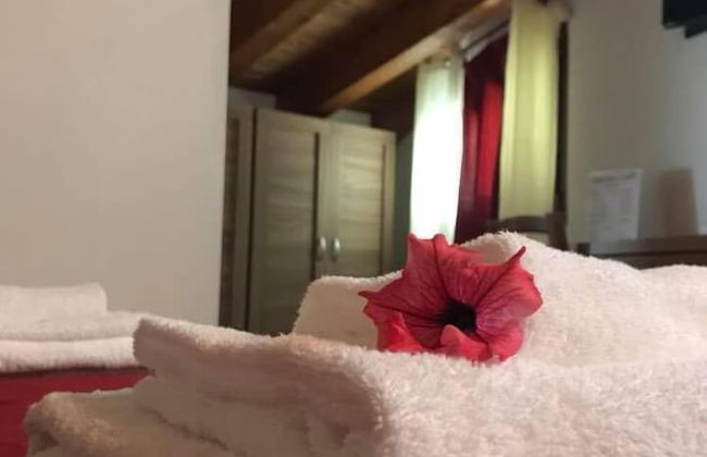 Agriturismo L'Ulivo - Foto 16