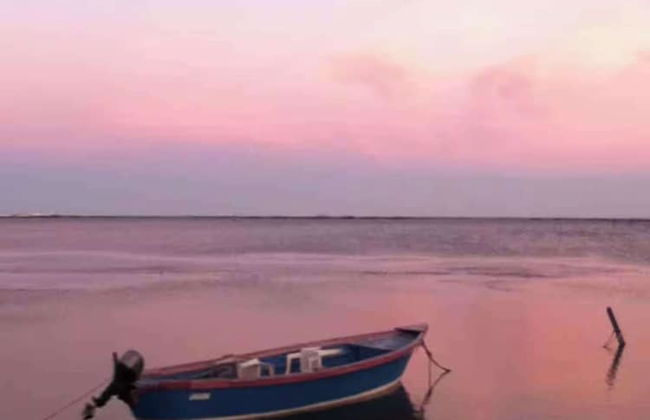 Milk Shed - Couples Seaside Retreat Whitstable - Foto 21