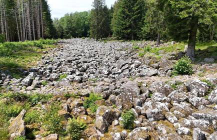 Chalet Aster 3 étoiles - Foto 21